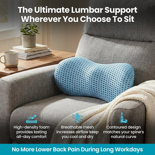 Lumber Support Pillow