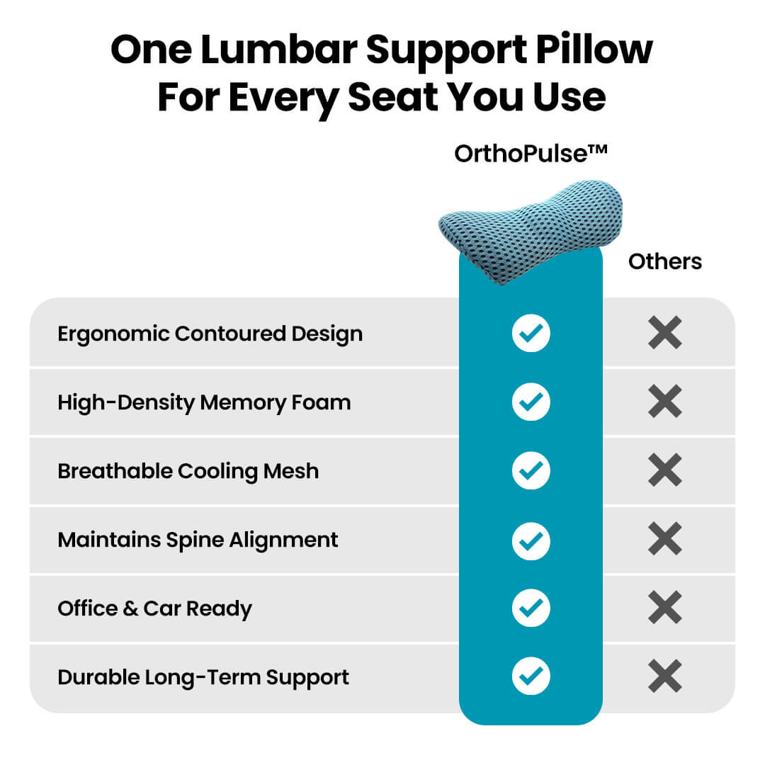 Lumber Support Pillow