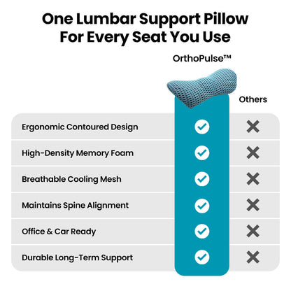 Lumber Support Pillow
