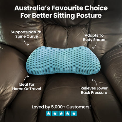 Lumber Support Pillow